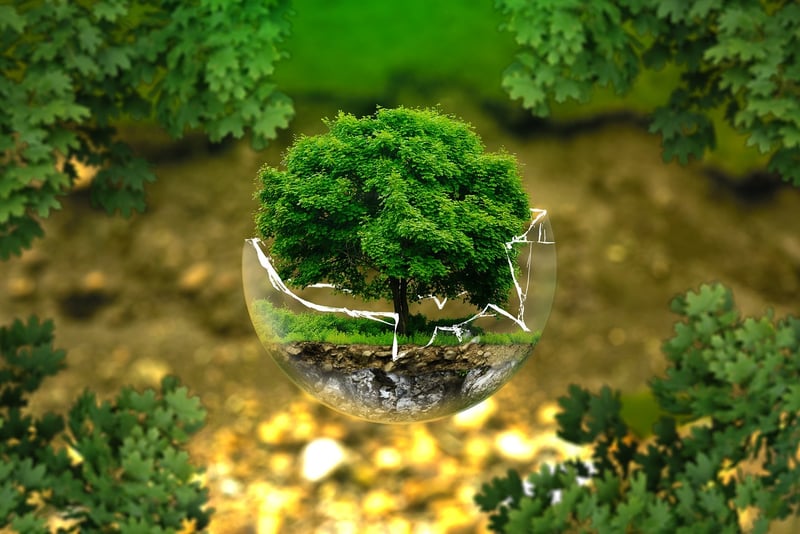 Environmental Sustainability